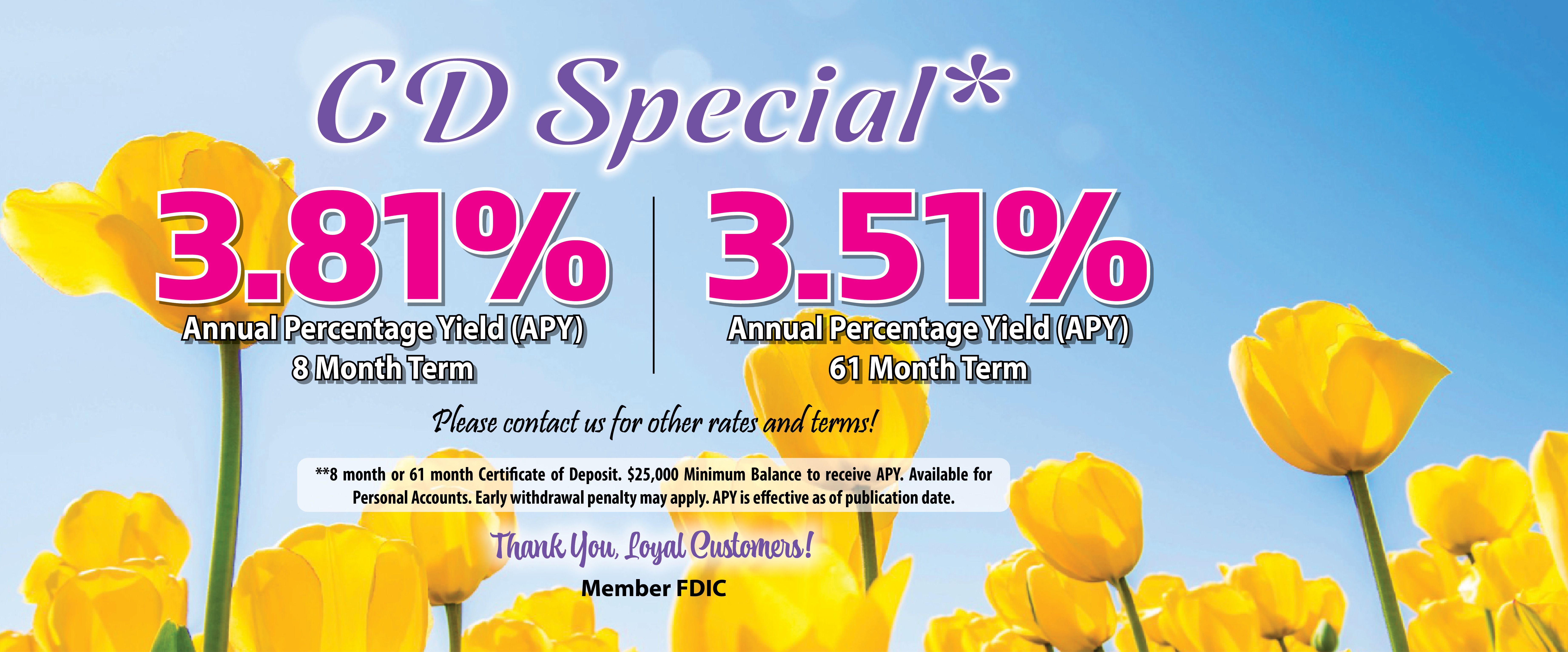 Spring CD Specials